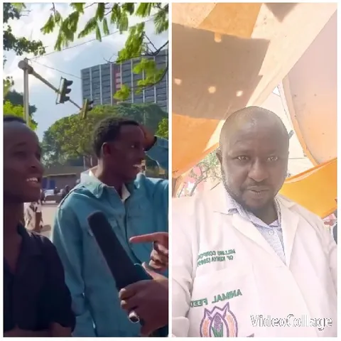 Interview Outdoors with Microphone