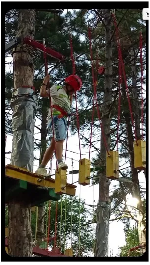 Navigating Rope Course in Trees