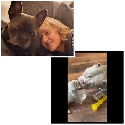 Smiling with Bulldog on Couch
