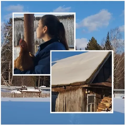 Person Holding Chicken by Cabin