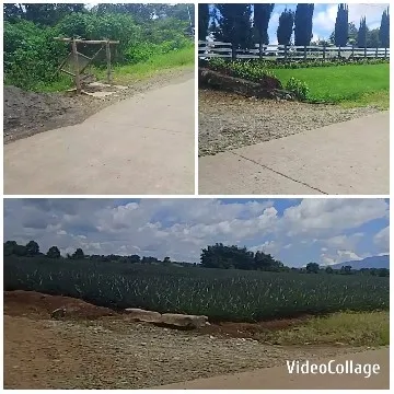 Pathway and Grassy Area Photos