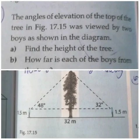 Geometry Problem with Tree Measurement