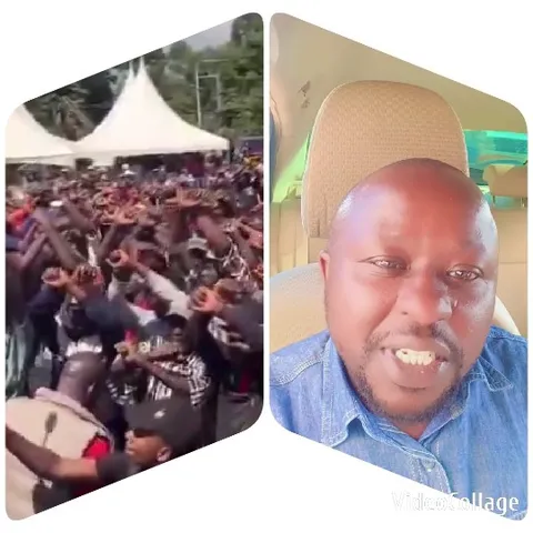 Crowd at Outdoor Event