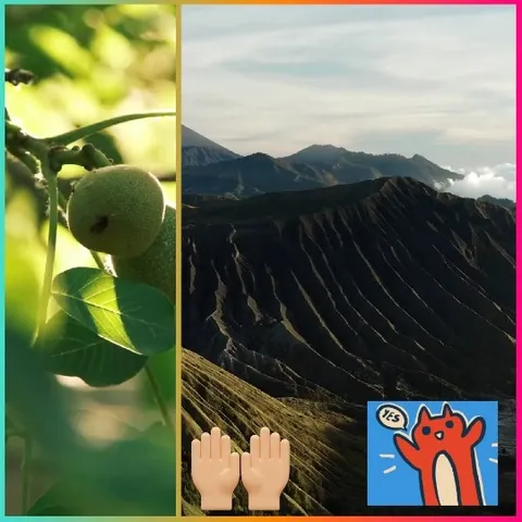 Plant with Fruit and Mountain View