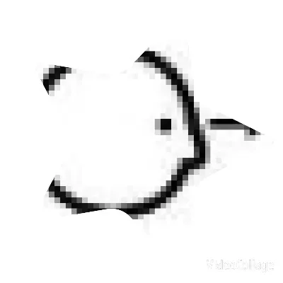 Simple Star-Shaped Fish Drawing