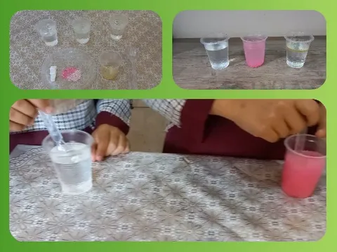 Science Experiment with Colorful Liquids