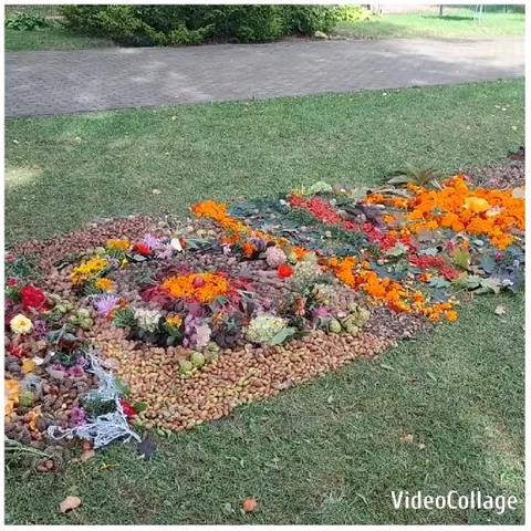 Colorful Floral Arrangement on Grass