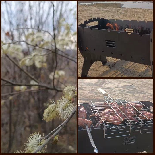 Budding Blossoms and Barbecue Grill