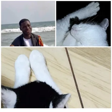 Beach Smiles and Sleeping Cats