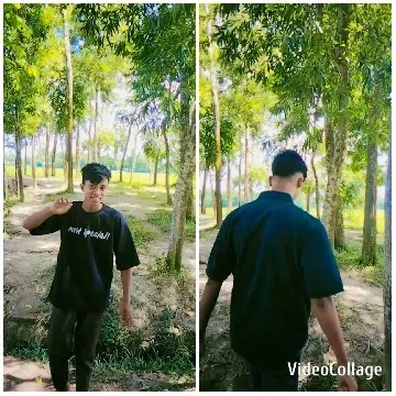 Person in Woods, Facing Camera