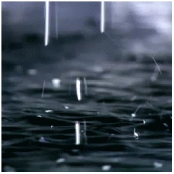 Rain Droplets on Dark Water