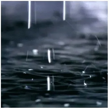 Rain Droplets on Dark Water