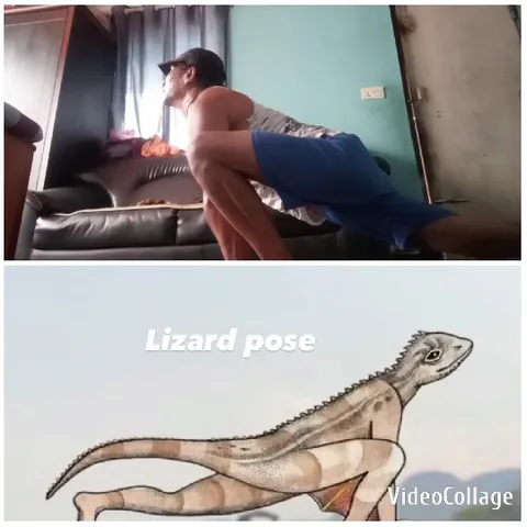 Lunge Exercise vs Lizard Pose Comparison