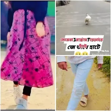 People Walking and Pigeon