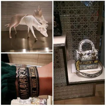 Decorative Items in Stylish Settings