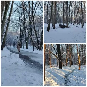Walking Through Snowy Forest