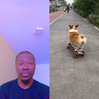 Corgi Riding Skateboard Outdoors