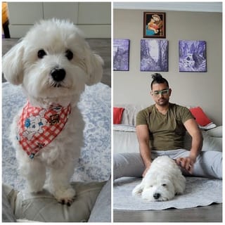 Dog with Bandana and Relaxing Owner