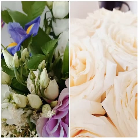Beautiful Flower Arrangements Display