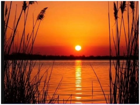Serene Sunset Reflected on Water