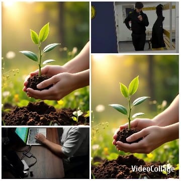 Hands Holding a Small Plant