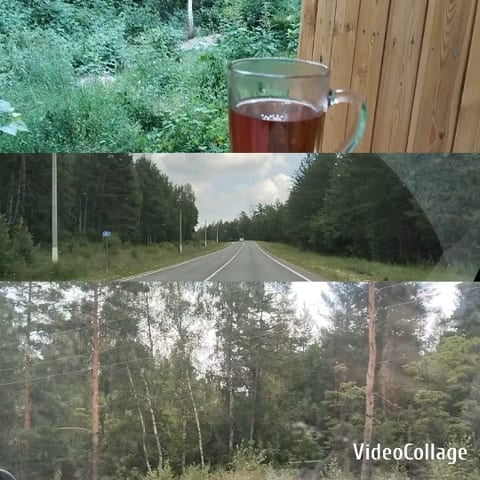 Lush Green Area with Beverage