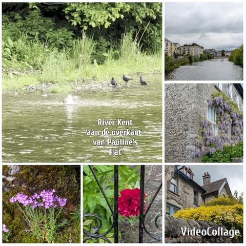 Various Nature and Landscape Scenes