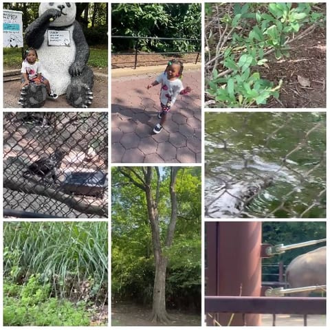 Child with Panda Statue and Nature