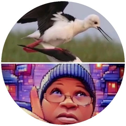 Birds and Illustrated Portrait