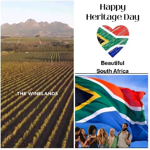 Vineyard and Heritage Day Celebration
