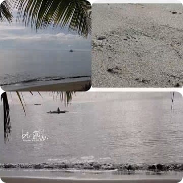 Serene Beach Scenes With Gentle Shoreline