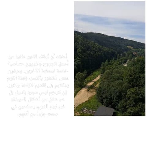 Lush Green Hills and Pathway