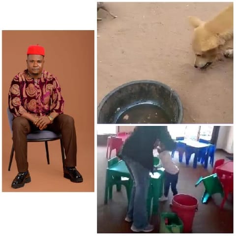 Traditional Attire, Dog, and Learning Space