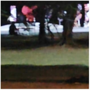 Blurry Park Setting at Dusk