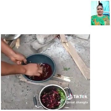 Outdoor Food Preparation Scene