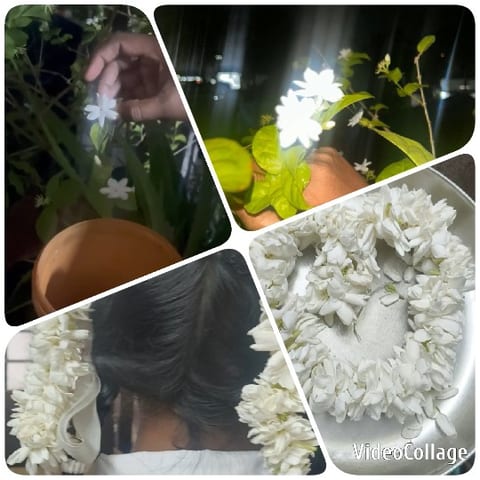 Flower Picking and White Flower Garlands