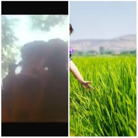 Silhouettes and Touching Grass