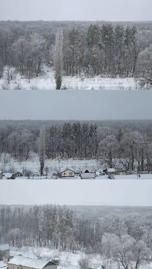Snowy Landscape and Forest Edge