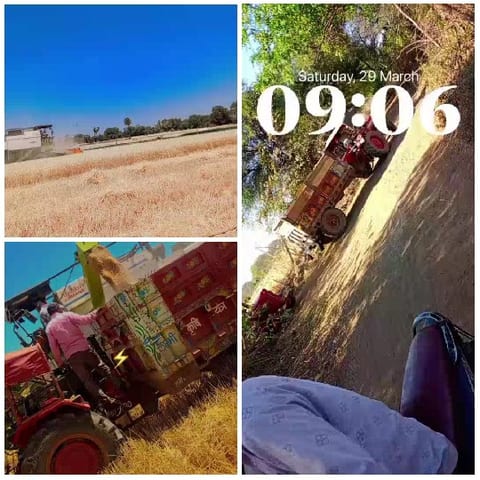 Agricultural Work in the Field