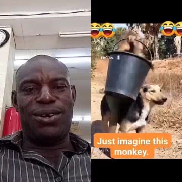 Neutral Man and Funny Monkey