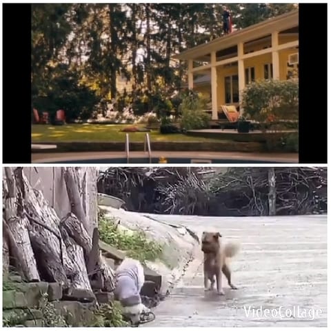 House with Pool and Child with Dog