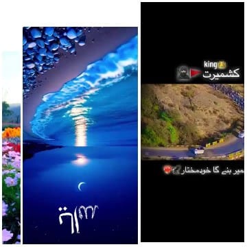 Flowers, Beach, and Aerial Road