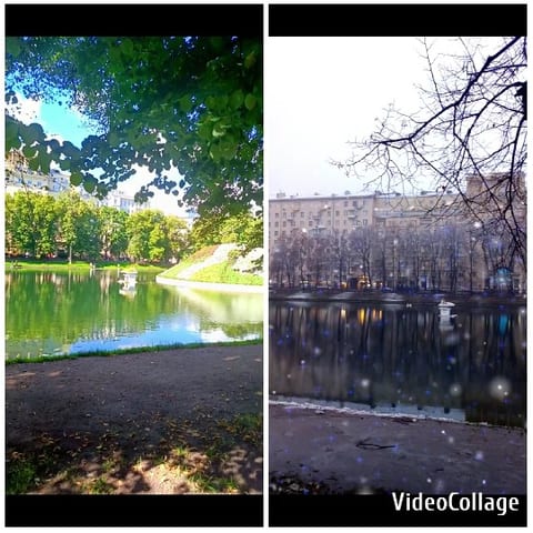 Pond in Sunny and Winter Scenes