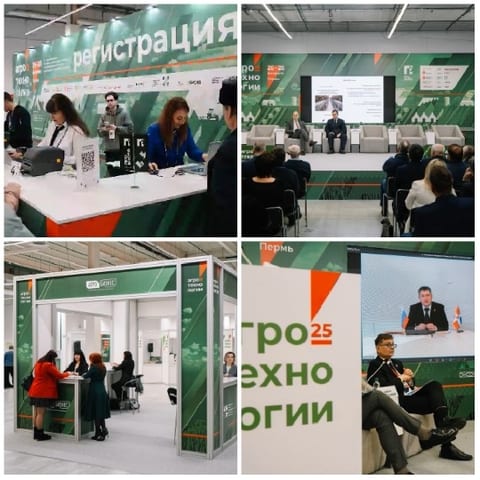 Business Conference Highlights
