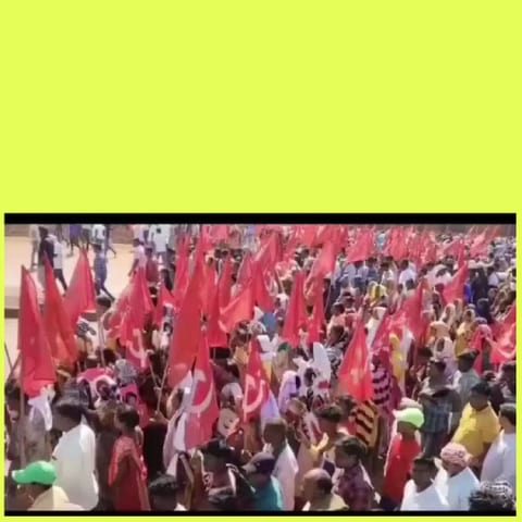 Rally With Red Flags Outdoors