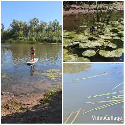 Paddleboarding and Calm Water Close-Ups