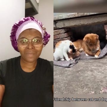 Person and Pets in Cozy Den