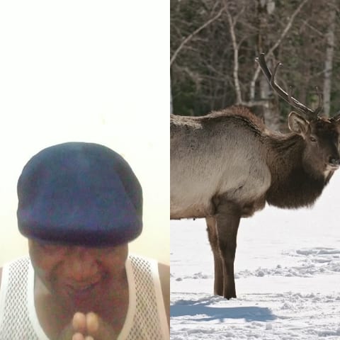 Meditation Pose And Deer In Snow
