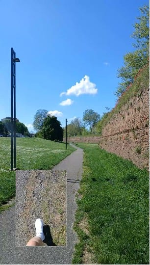 Park Pathway on a Clear Day