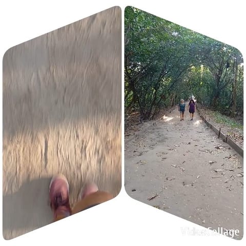 Walking Paths in Nature